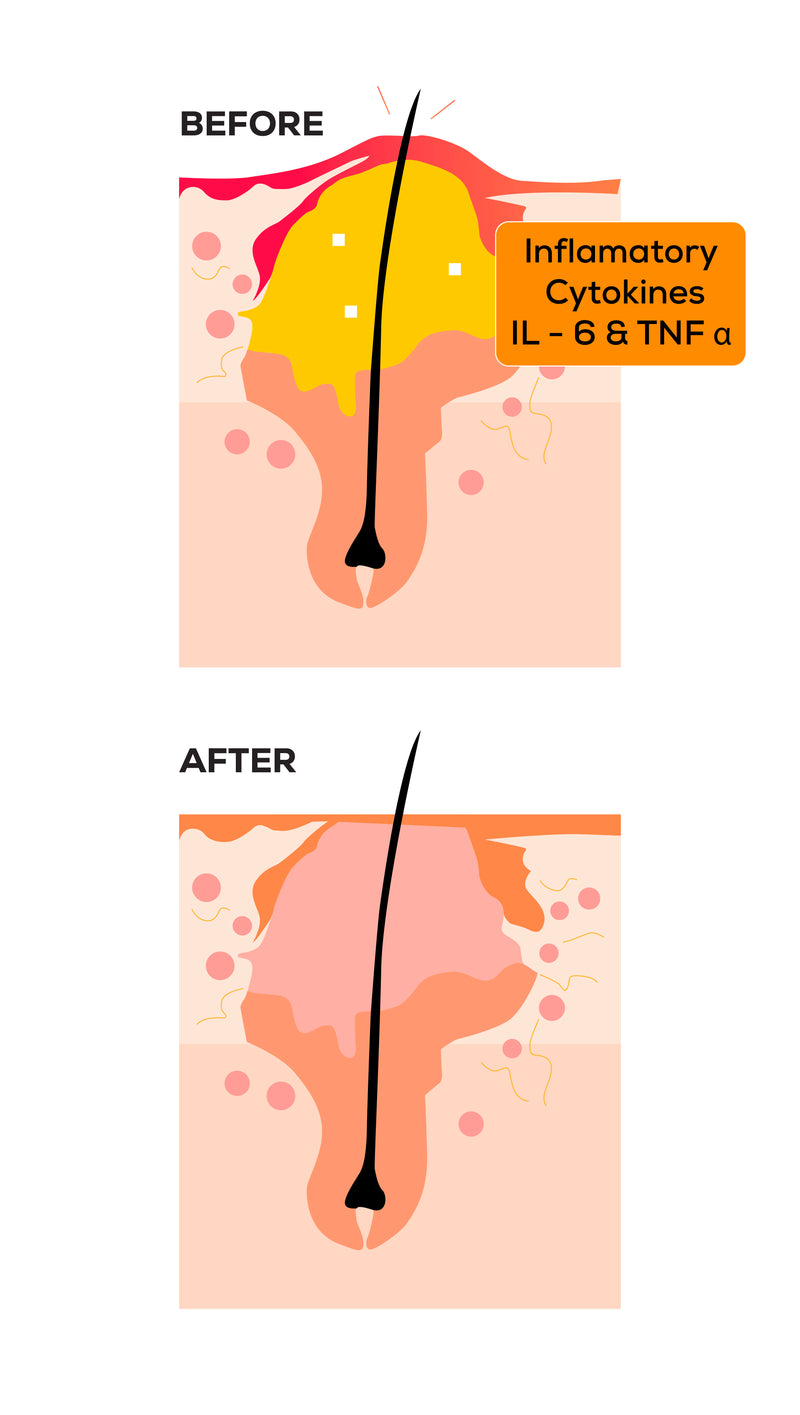 Curcumin as on