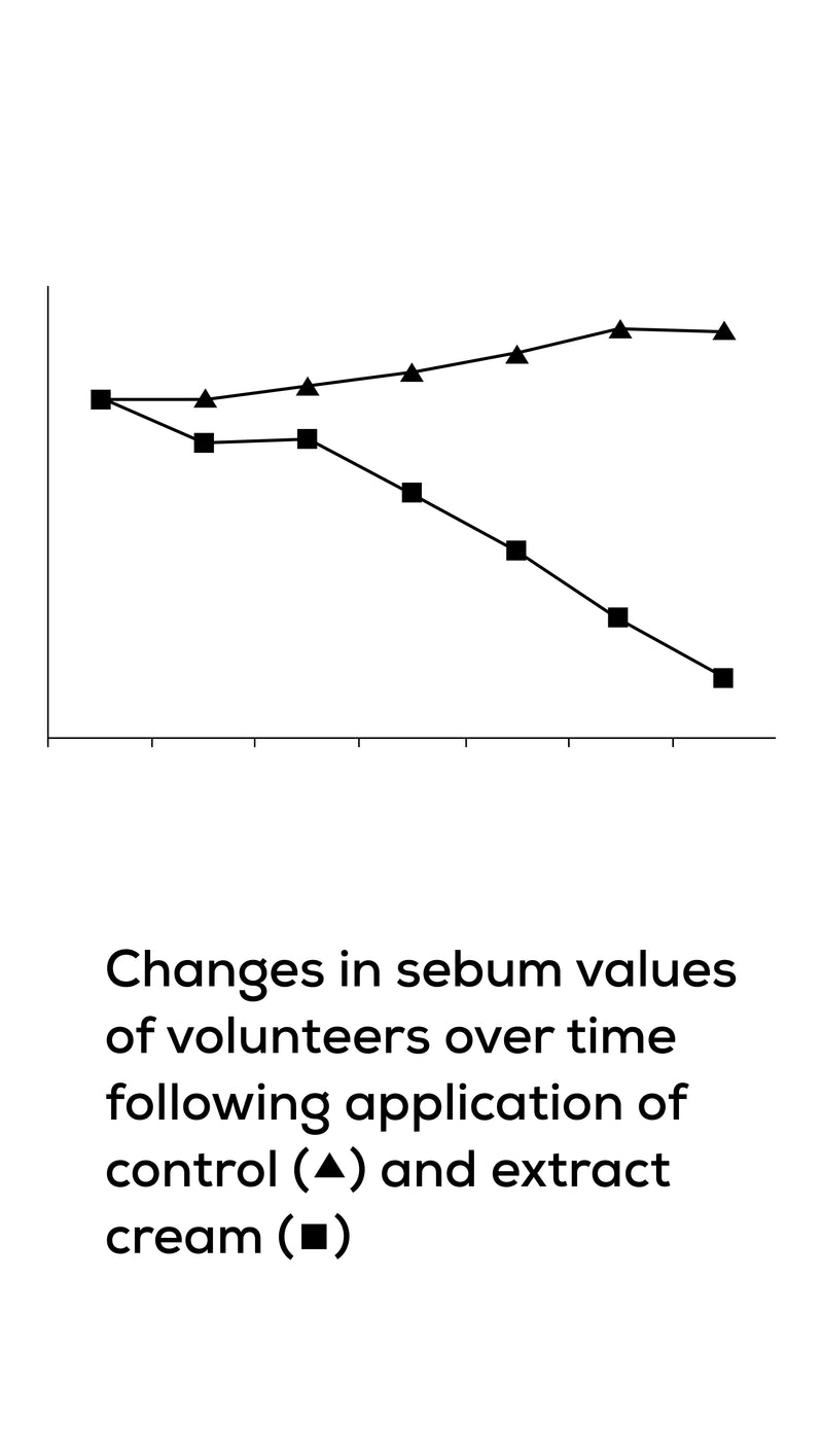 Curcumin as an